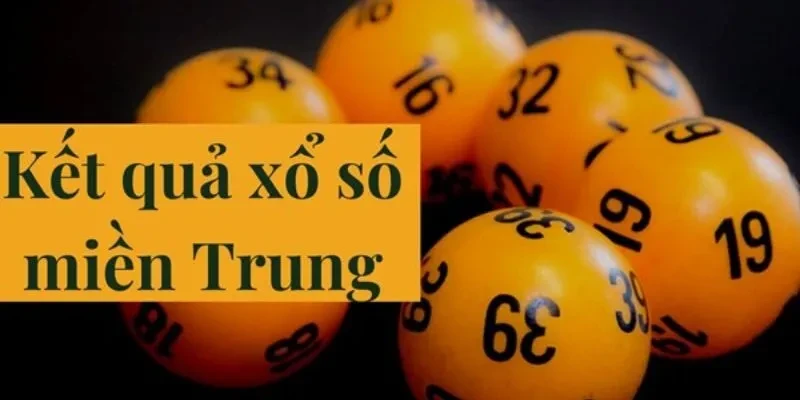 Khám Phá EE88: Mọi Thông Tin Cần Biết